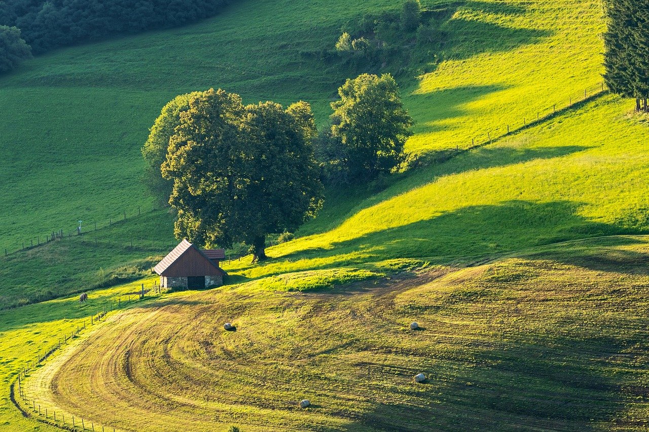 landscape, field, meadow-8592826.jpg